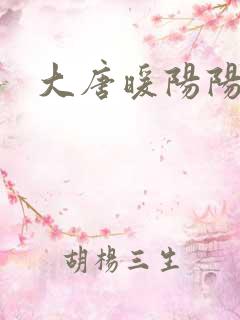 大唐暖阳阳