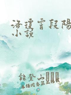 洛琼霄段阳澍的小说