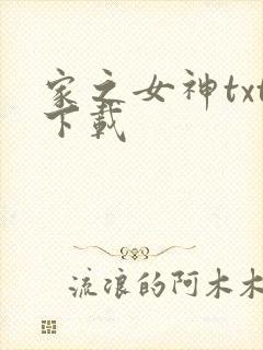 家之女神txt下载