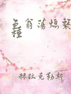 色翁荡熄系列借种