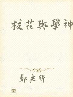 校花与学神