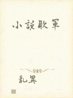 小说败军