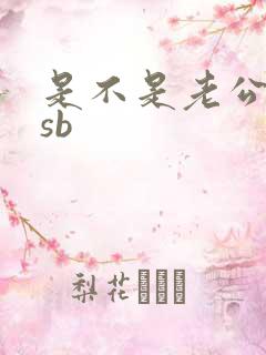 是不是老公的小sb