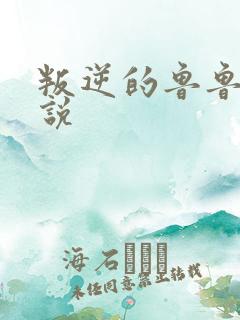 叛逆的鲁鲁修小说