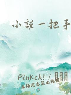 小说一把手