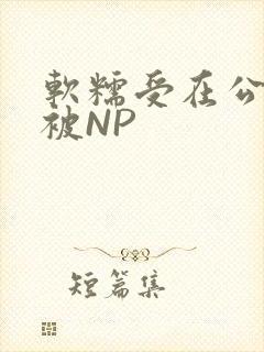软糯受在公交车被NP