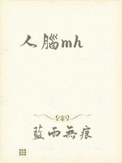 人脑mh