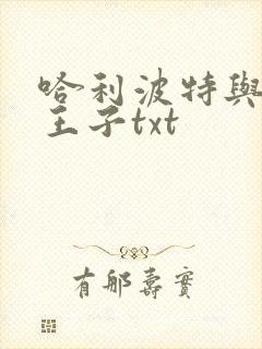 哈利波特与混血王子txt