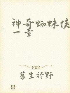 神奇蜘蛛侠第十一章