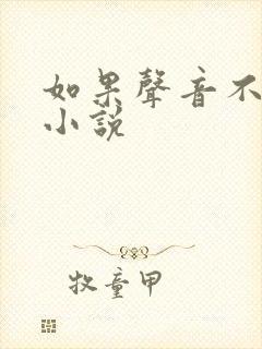 如果声音不记得小说