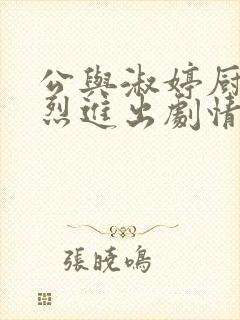 公与淑婷厨房猛烈进出剧情介绍