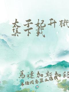 太子妃升职记全集下载