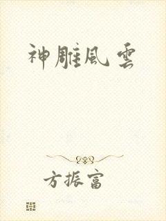 神雕风云