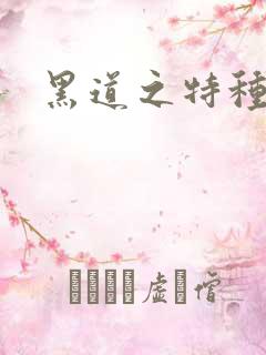 黑道之特种兵王