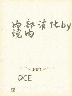 内部消化by红烧肉