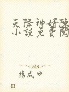 天降神婿陈黄皮小说免费阅读