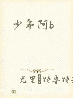 少年阿b