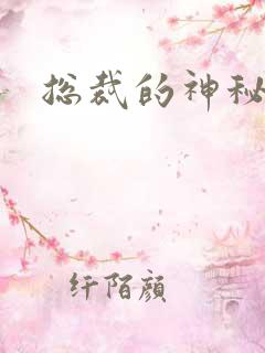 总裁的神秘情人