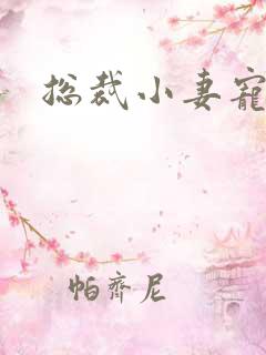 总裁小妻宠上天