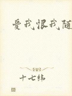 爱我恨我随便你