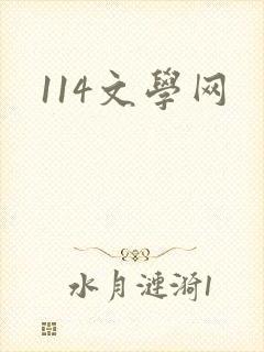 114文学网