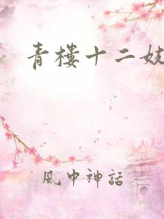 青楼十二妓