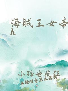 海贼王女帝娜美h