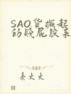 SAO货撅起你的贱屁股来