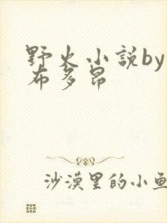 野火小说by夏布多昂