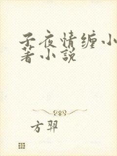 子夜情缠小说原著小说