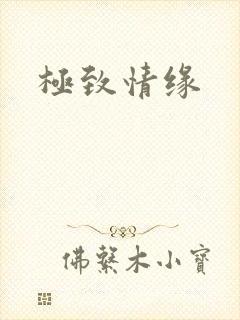 极致情缘
