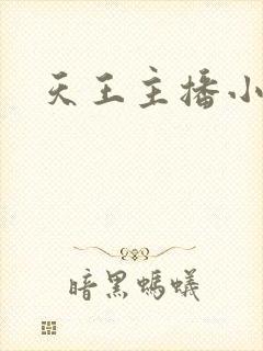 天王主播小说