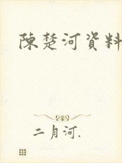 陈楚河资料