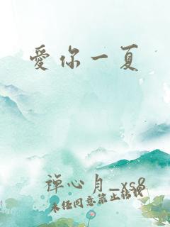 爱你一夏