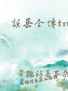 说岳全传txt