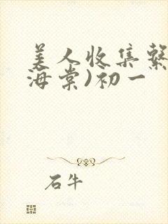 美人收集系统(海棠)初一