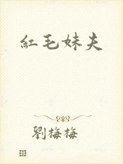 红毛妹夫