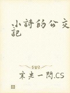 小诗的公交车日记