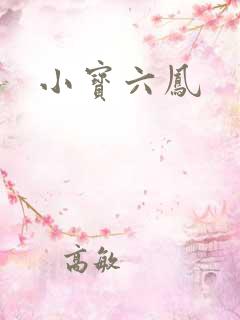 小宝六凤