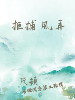 拒捕 风弄