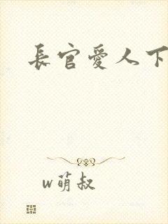 长官爱人下载