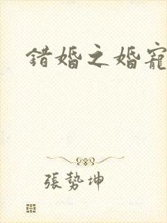 错婚之婚宠一世