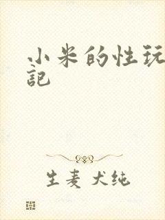 小米的性玩具日记
