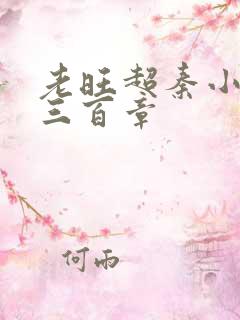 老旺超秦小雨第三百章