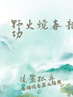 野火烧春 龙鸣功