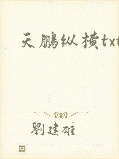 天鹏纵横txt