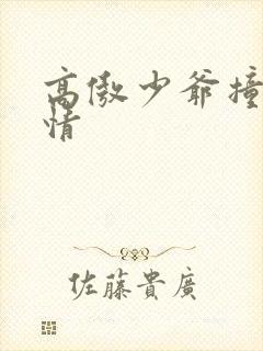 高傲少爷撞到爱情