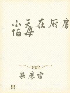 小天在厨房插杨伯母