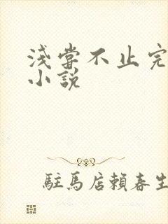 浅尝不止完整版小说