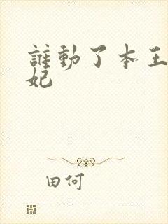 谁动了本王的悍妃